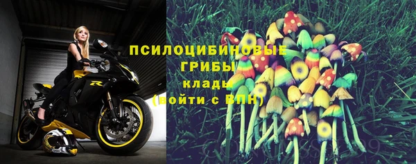 дурь Алексин