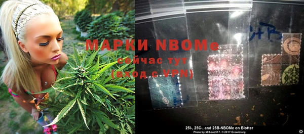 дурь Алексин