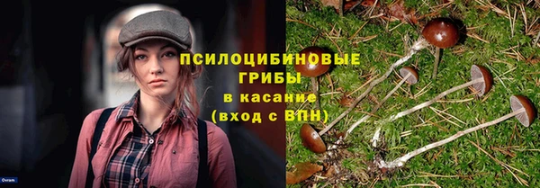 дурь Алексин
