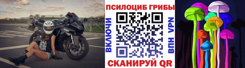 даркнет сайт  Малаховка  мориарти как зайти  Псилоцибиновые грибы Cubensis 